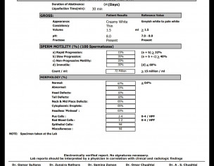 Semen Analysis