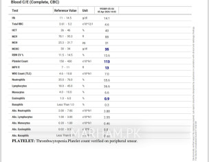 Test Report
