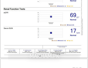 Test Report