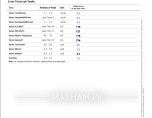 Test Report