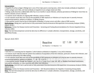 Test Report
