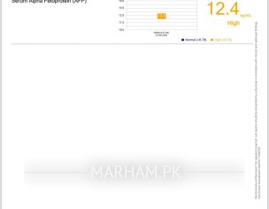 Test Report