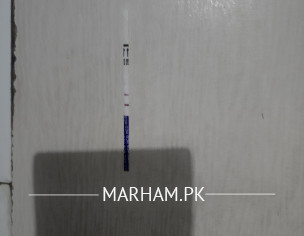 Pregnancy Test