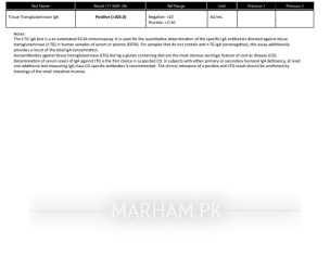 Report Check
