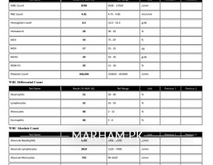 Report Check
