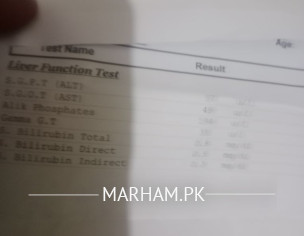 CHK Report