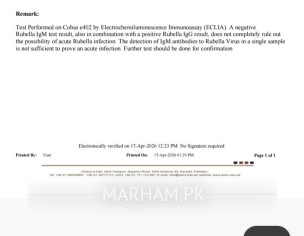 Rubella Virus Report