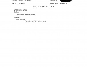Urine Culture And Sensitivity Report-review 