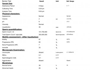 Seman Analysis Report