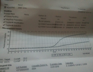 Liver Hepatitis And Tumor