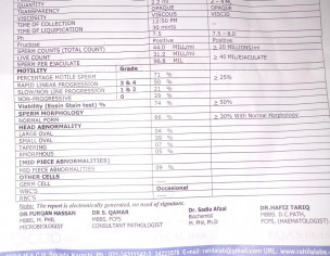 Pregnancy,Semen Analysis
