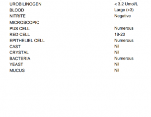 Urine Reports Pregnancy