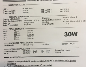 Pregnancy Related Problem 