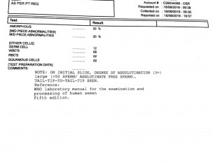 Semen Report