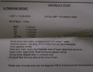 Placenta Anterior Low Lying