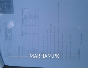 Check My ETT And ECHO