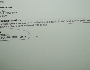 RBC And Protein In Urine