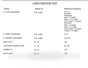 Please Read My Reports.