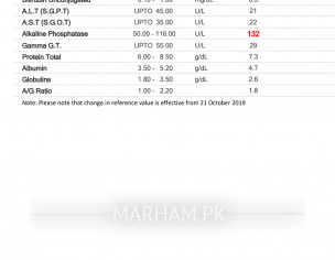 Kindly Check The Reports
