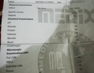Seman Report And Sperm Count