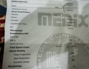 Seman Report And Sperm Count