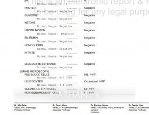 Please Review The Report