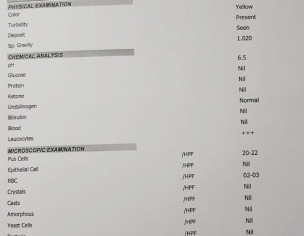 Report- Feedback Needed 