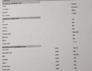 General Diabetes Report