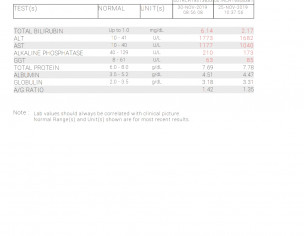 While Eating Feel Like Vomit 