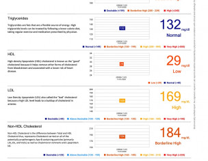 High Ldl And Low Hdl