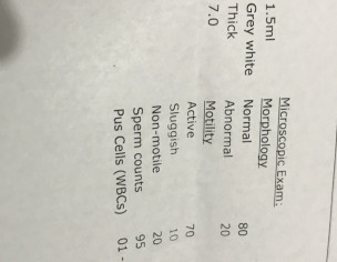 Semen Analysis