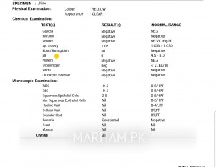 High Creatinine 1.27 Uric Acid 7.8