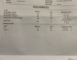 Sgpt Level In Pregnancy 