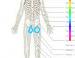 Pregnancy Related Issues 