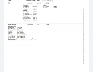 Thyroid Report