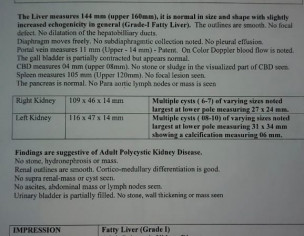 Kidney/Lungs
