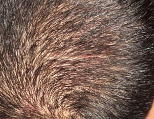 Dermatologist/sexologist 