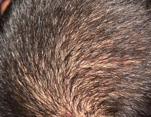 Dermatologist/sexologist 