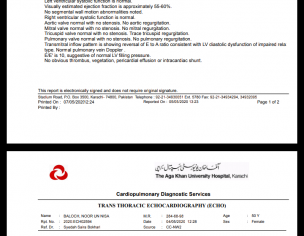 (Echo Report) Cardiologist