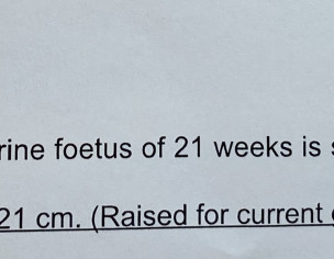 2nd Pregnancy Raised AFI