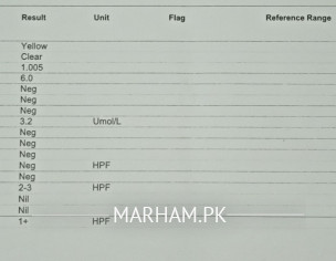 Kidney Problem (Nephrologist)
