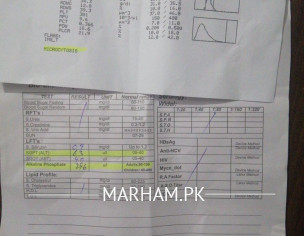 Abnormal CBC And LFT