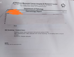 Thalassemia Report Evaluation 