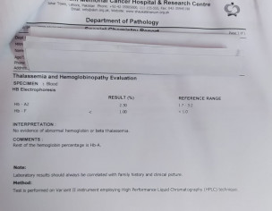 Thalassemia Report Evaluation 