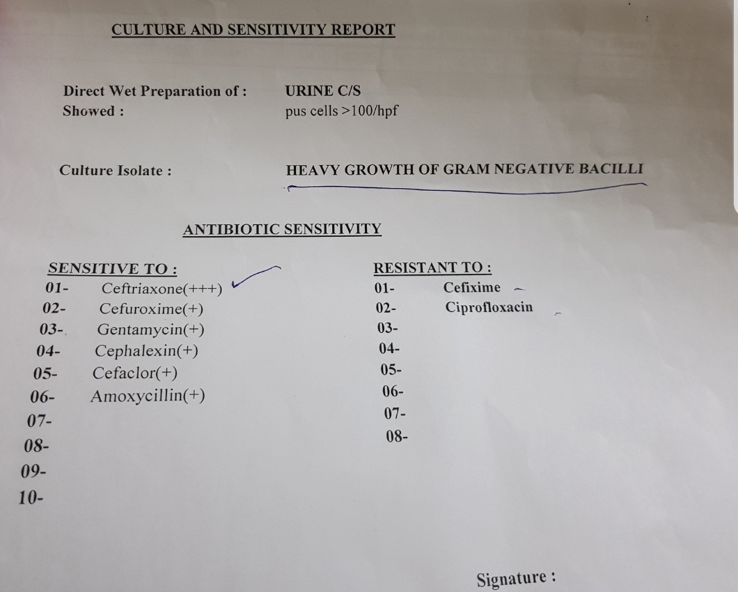 urine culture test