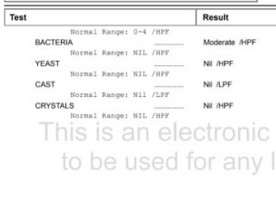 Infection Has Seen From Urine DR Report