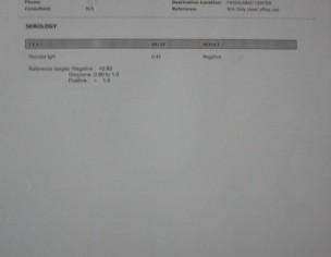 Backbone (Mohra Gap, Disc Break)  