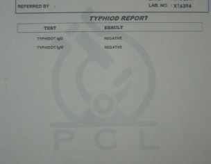 Backbone (Mohra Gap, Disc Break)  