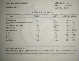 Backbone (Mohra Gap, Disc Break)  