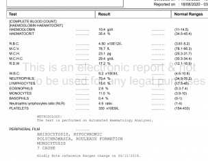 Low Hemoglobin 